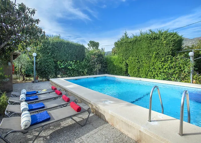 Owl Guillermo - Rustic Pollença