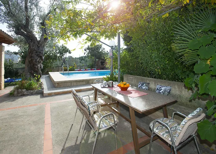 Owl Guillermo - Rustic Pollença