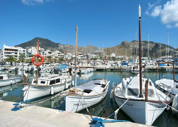 Owl Guillermo - Rustic * Pollença