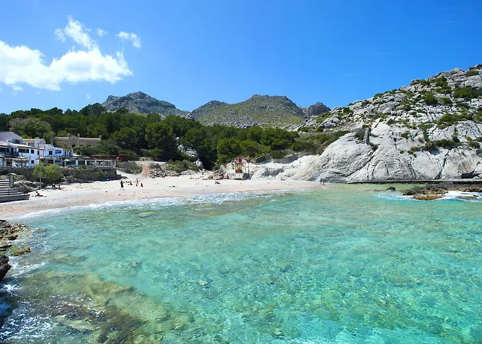 Owl Guillermo - Rustic * Pollença