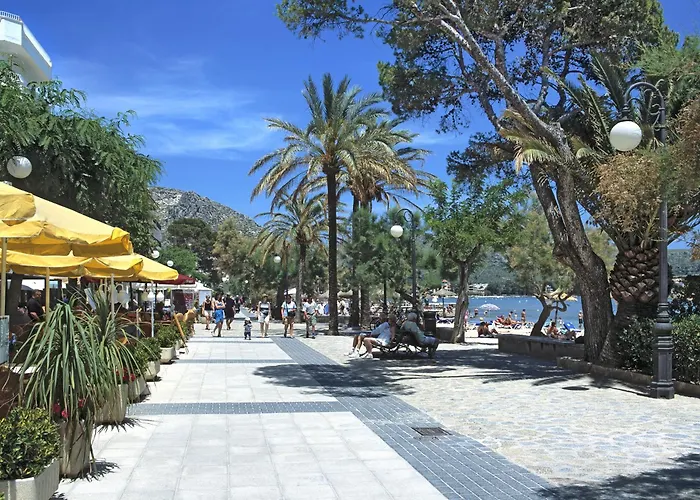 Owl Guillermo - Rustic *