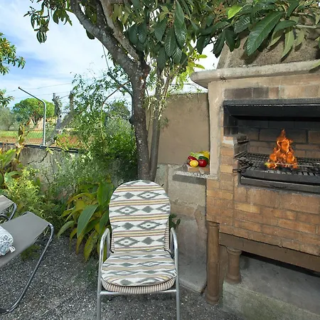 Owl Guillermo - Rustic *