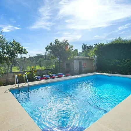 Owl Guillermo - Rustic Pollença