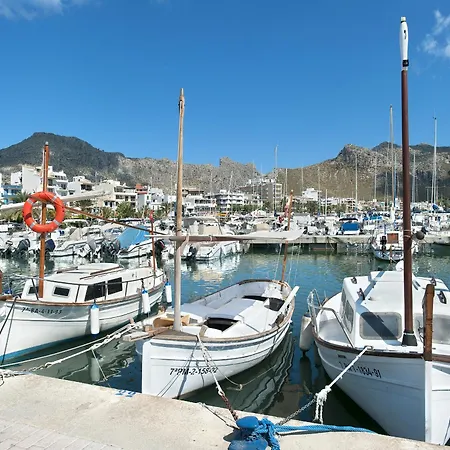 Owl Guillermo - Rustic * Pollença