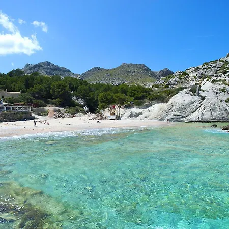 Owl Guillermo - Rustic * Pollença