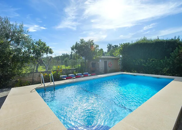 Owl Guillermo - Rustic Pollença