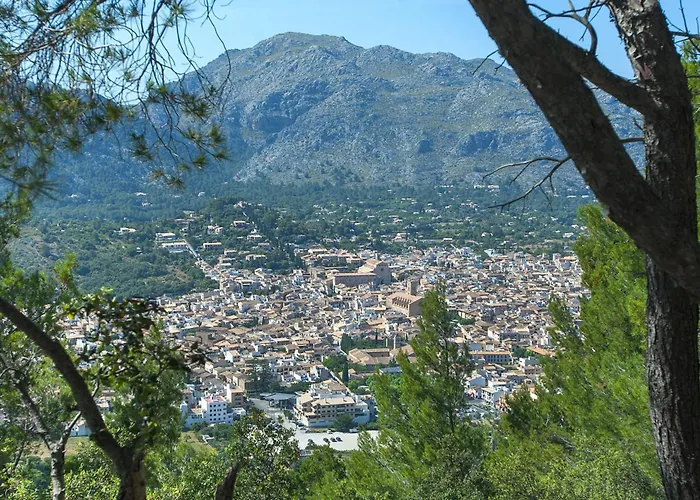 Owl Guillermo - Rustic Villa Pollença