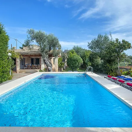 Owl Guillermo - Rustic