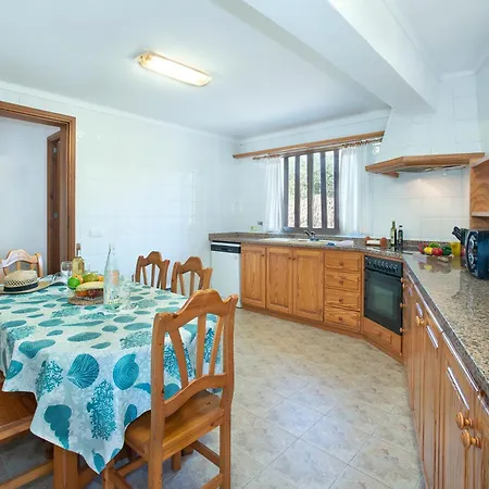 Owl Guillermo - Rustic Pollensa