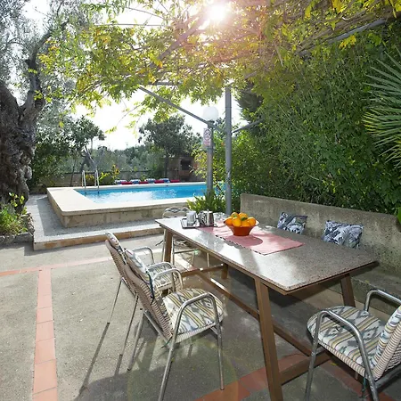 Owl Guillermo - Rustic Pollensa