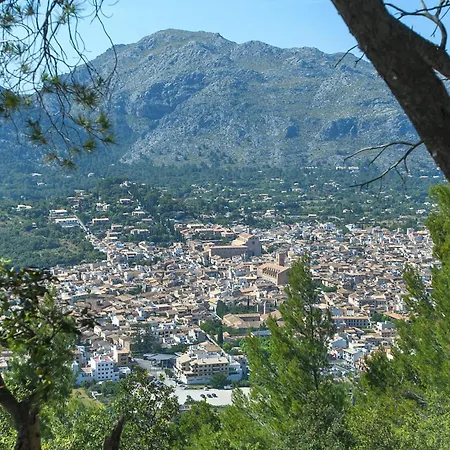 Owl Guillermo - Rustic Villa Pollensa