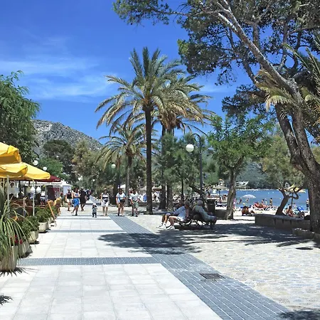 Owl Guillermo - Rustic *